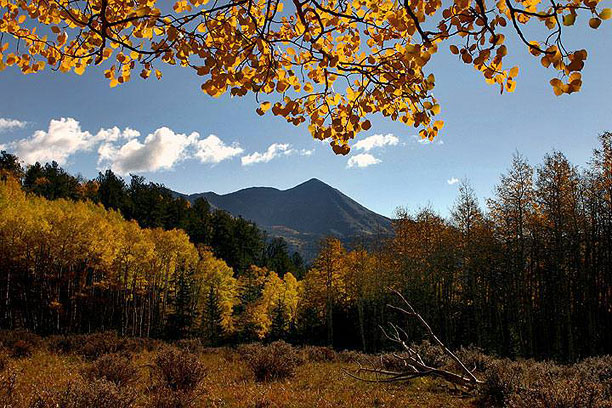 Meadow near the old gold mining town of Bonanza in Southern Colorado