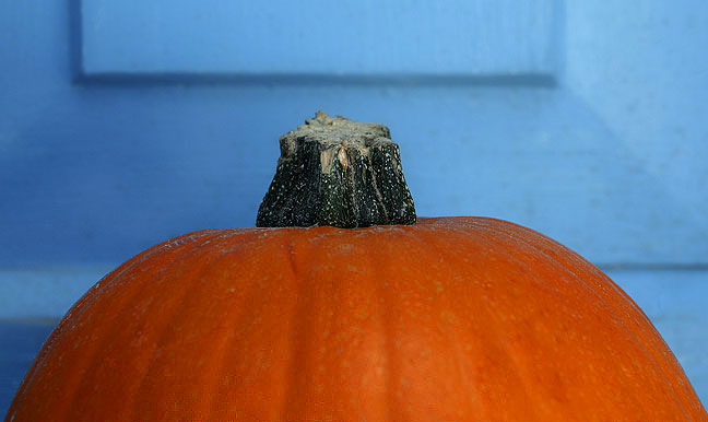 Pumkin Blue, Ranchos de Taos, New Mexico