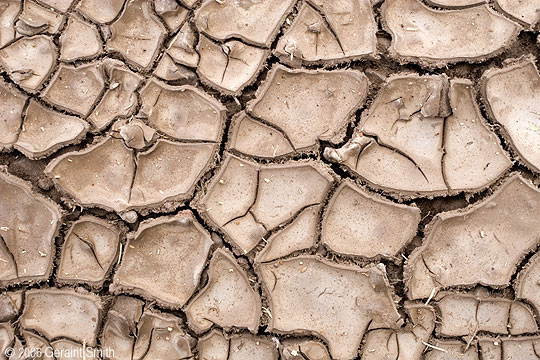 Cracked earth in a dried out rain puddle