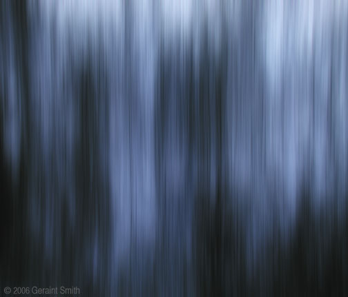 Abstract "Trees"