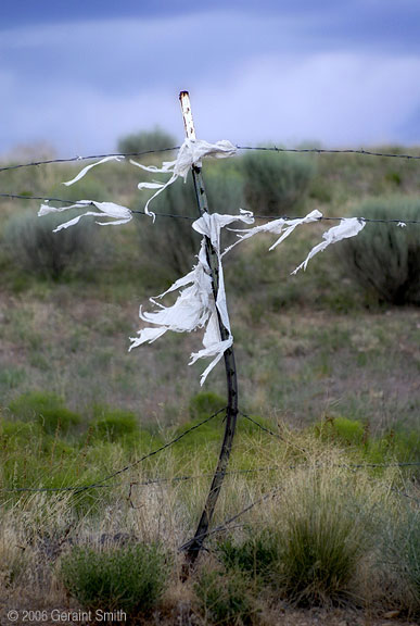 One of many fence ghosts in Taos County