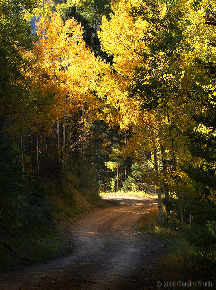 Aspen Road in the Sangre de Cristo Mountains, New Mexico