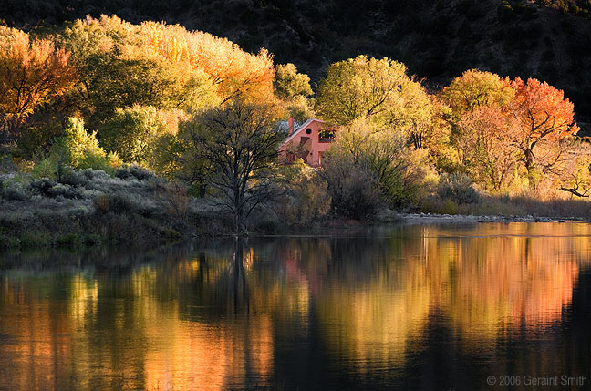 Cottonwoods on the Rio Grande in Pilar NM 