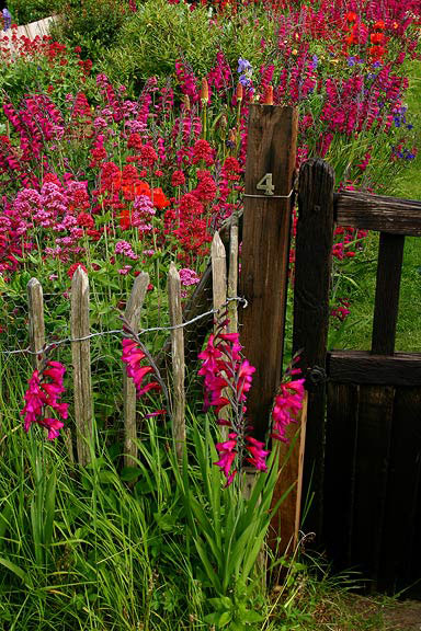 Garden Gate #4 Cuckmere Haven, East Sussex  on the south coast of England