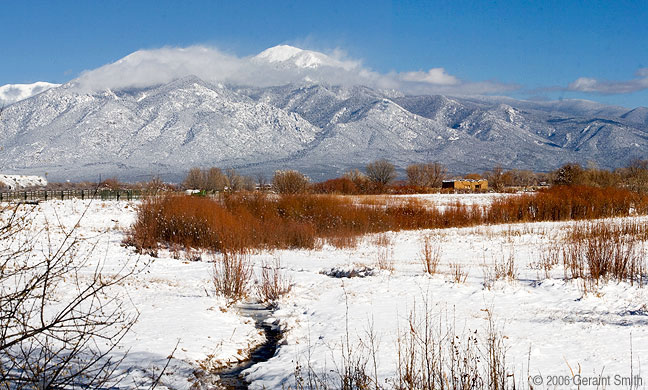 Taos Mountain Willows