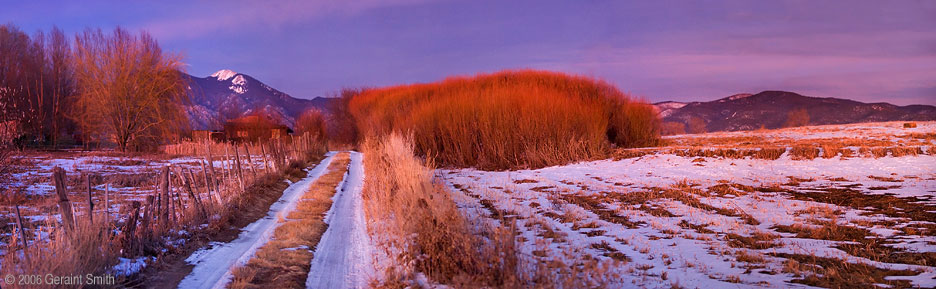 Red Willows December 25th in Ranchos de Taos, New Mexico, The sun had set and this was the ambient glow from the waning light in the southern sky on the red willows and grasses