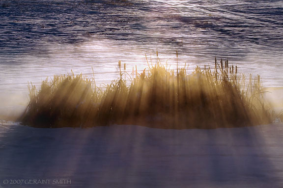 A scene yesterday along a stream in Ranchos de Taos, NM 