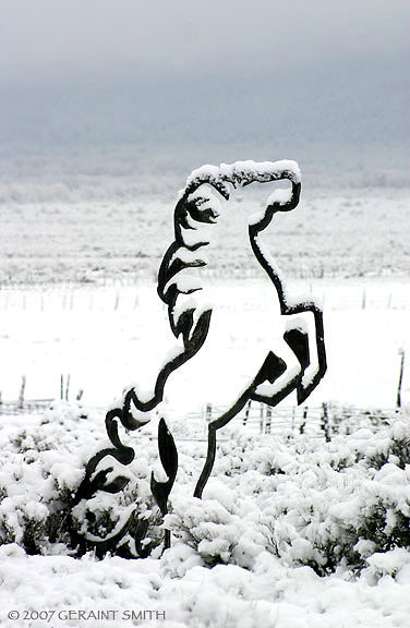 See-through horse, Taos 