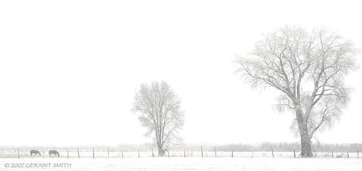 Winter meadow in Taos, New Mexico