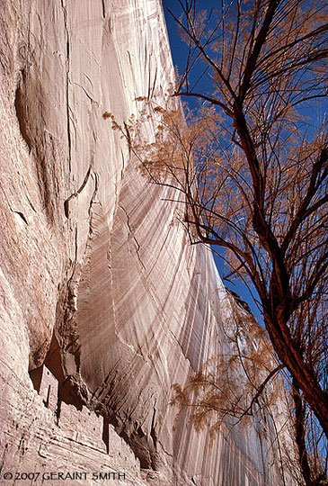 White House Ruins in Canyon de Chelly National Monument, Arizona on the Navajo Nation. These ruins in a sandstone cave were built by the Anasazi, a Navajo word meaning the Ancient Ones.