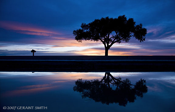 Lone tree reflectionsI went south to the lone tree again yesterday evening, the rain storm in the afternoon had left some considerable puddles in the parking lot 