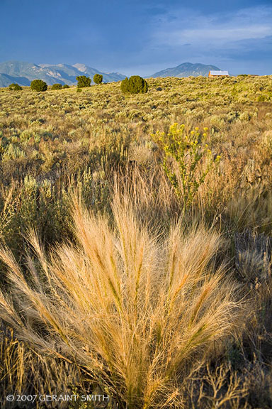 Mesa Light, Stagecoach Hills Taos, NM