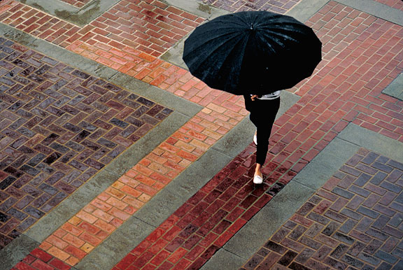 Black Umbrella, Pasadena, California The office I occupied at the City of Pasadena in the mid eighties afforded me a fine view of the civic plaza and the beautiful paving work on the sidewalks.