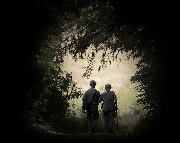 Into the light - a stroll through the grounds of Fountains Abbey, Yorkshire, England