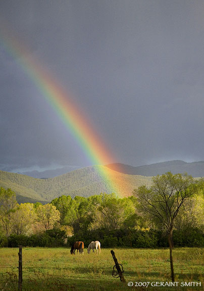 Rainbow Fields