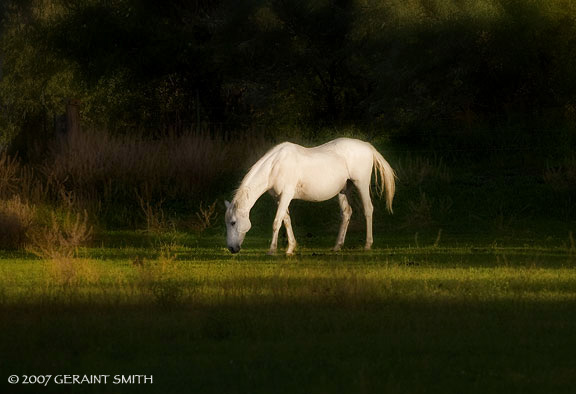 Evening light, in Ranchos de Taos