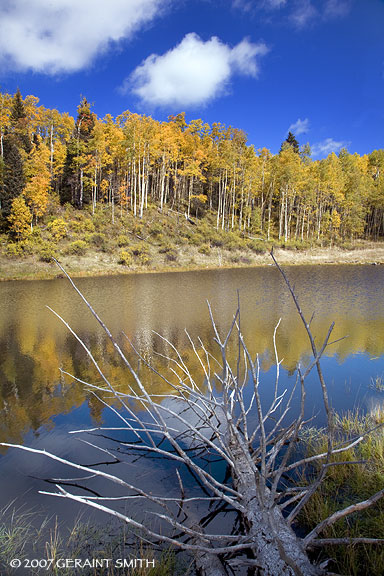 Aspen Pond, near Chama, NM