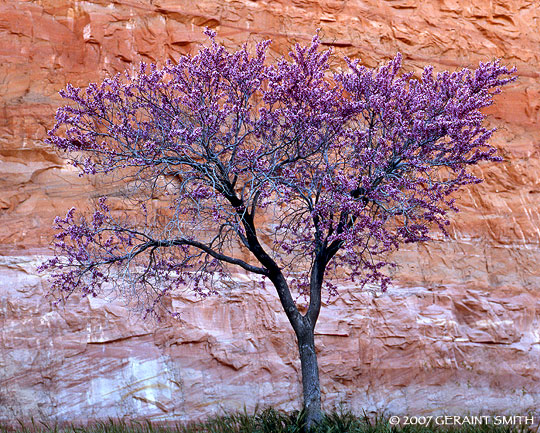 At the Glen Canyon Dam in Page, Arizona 