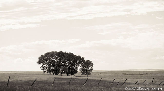 On the road in Wyoming