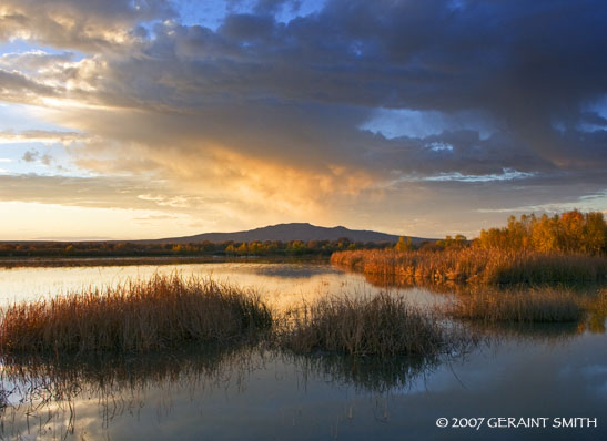 Dawn in the Bosque del Apache Socorro, NM