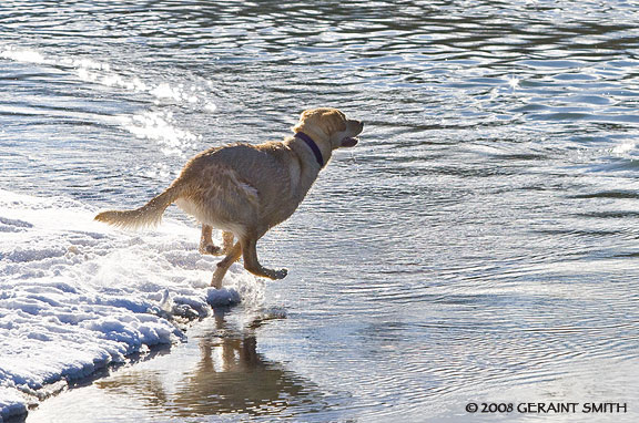 Rio Grande plunge ... cold ,,, what's that?