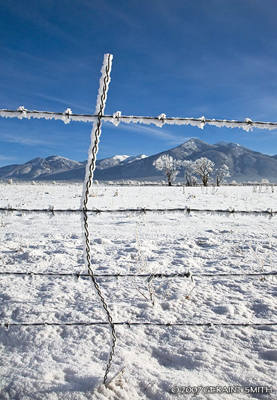 Morning frost and snow, Taos, New Mexico