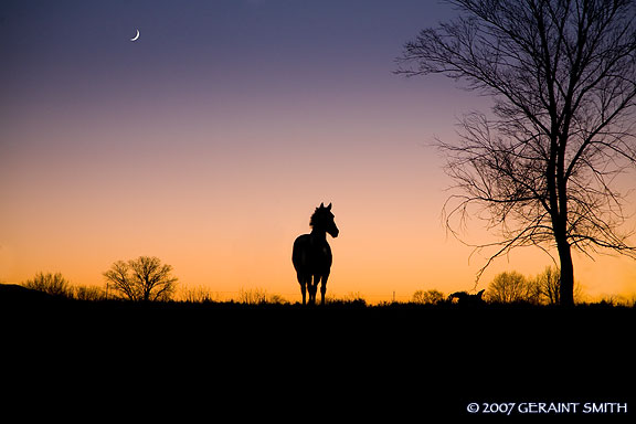 In a field under a crescent moon, Taos, NM