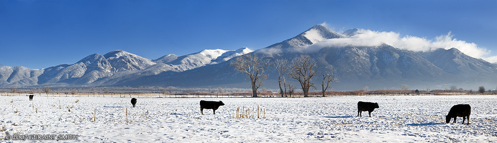 Taos morning in the fields on the north side of town