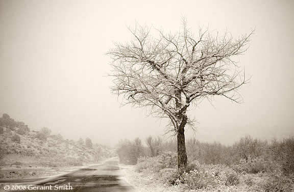 On the winter road