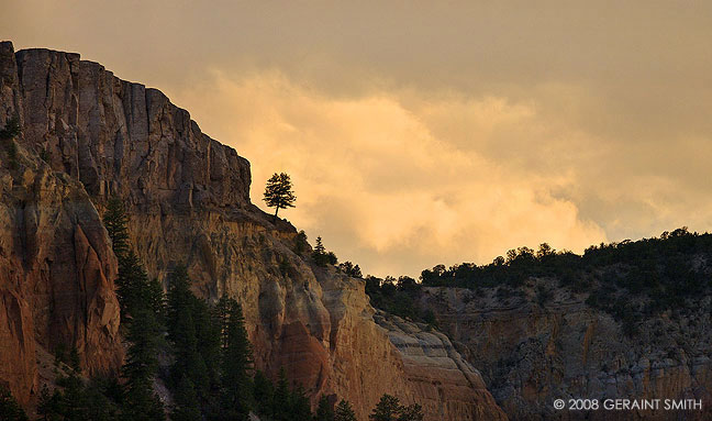 Out there ... one from the road near Abiquiu, NM