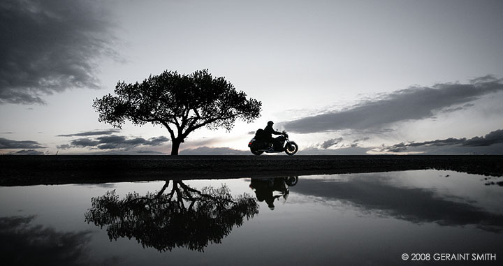 Biker and the lonetree in the rain puddles at the Rio Grand Gorge overlook, Taos, NM