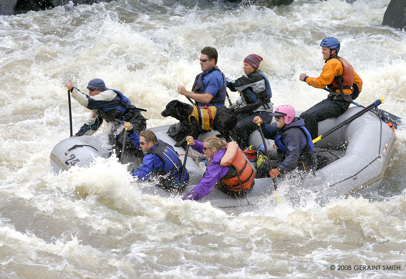 Spring rafting on the Rio Grande ... I love this shot because of the dog who's totally 'in to it' 