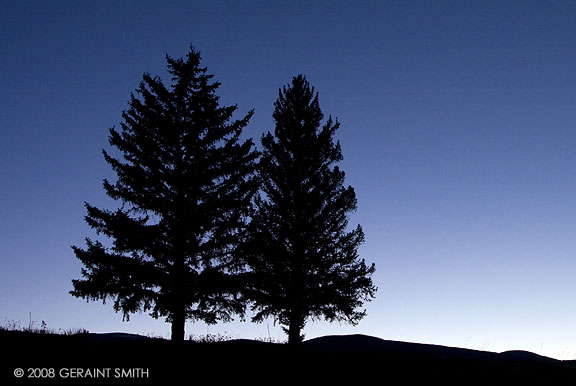 Two Pines at Eagle Nest Lake