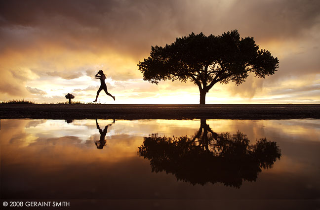 I went south to the tree for the sunset and my daughter went for a run