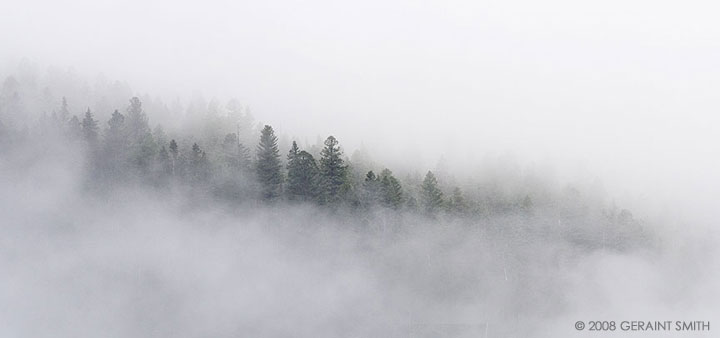 On a misty morning in South Fork, Colorado