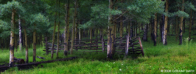 An old corral in the woods