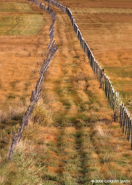 A stand off in a field in Taos