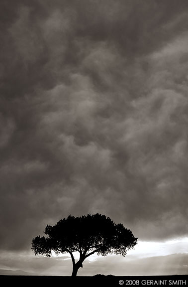 The sky over the lonetree, Taos, NM