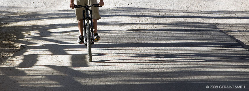 Shadows on the road