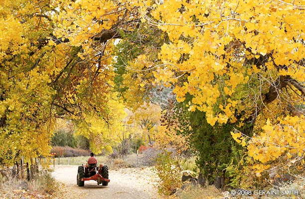 A country road in Embudo, NM