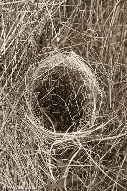 In the grass at Hopewell Lake, NM