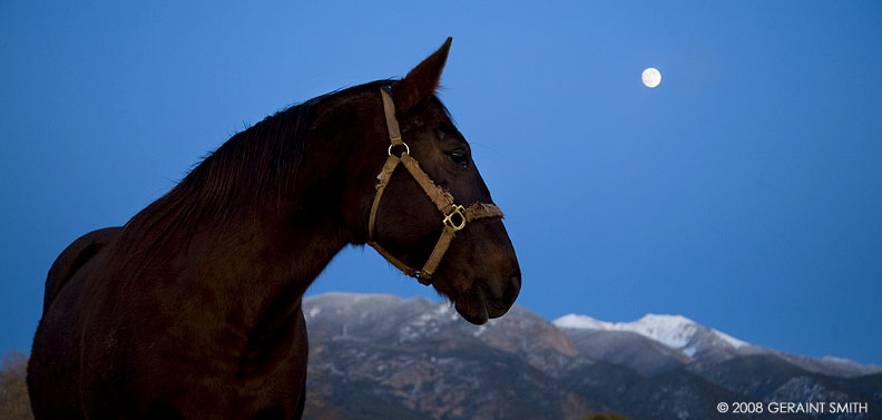 An encounter under a full moon in Arroyo Seco, New Mexico