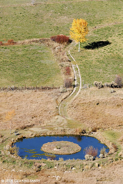 Autumn pond in Valdez, New Mexico