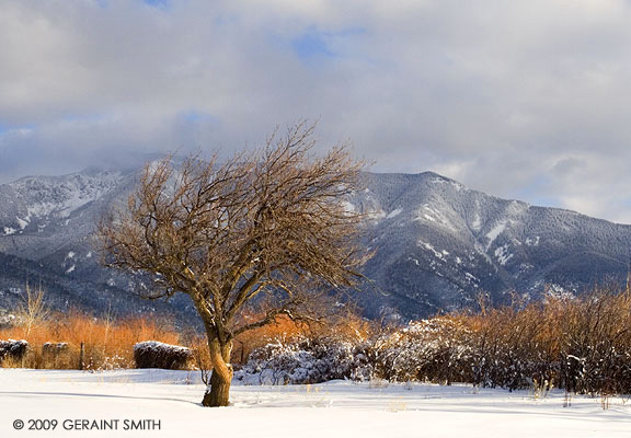 Taos spring weather