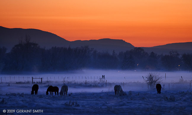 In the horse pasture one evening