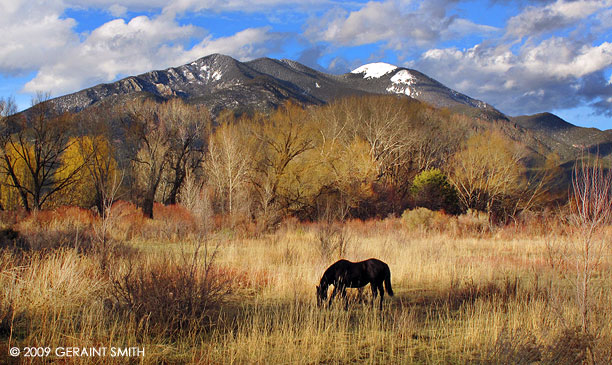 In the high desert mountains, Pueblo Peak, (Taos Mountain) after the storm cleared