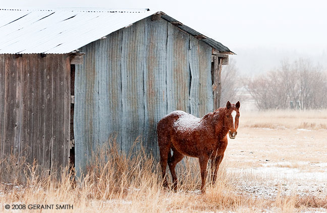 Gimme Shelter ... in the Ranchos Valley