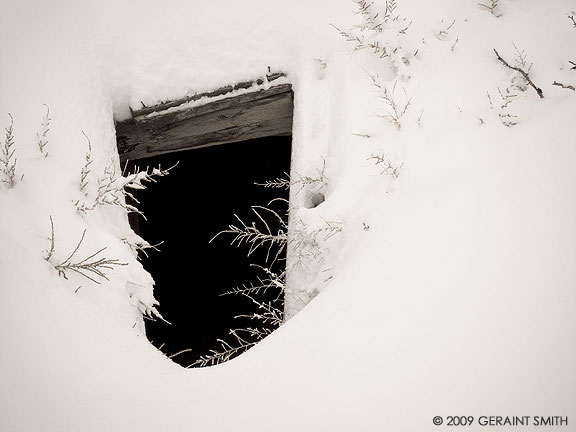 Old root cellar