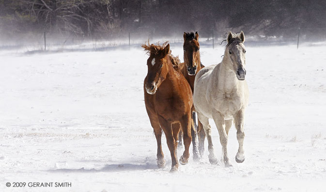 Snow horses, Still snow in the hills