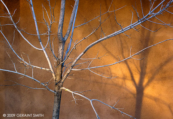 Evening light in Arroyo Seco, NM 